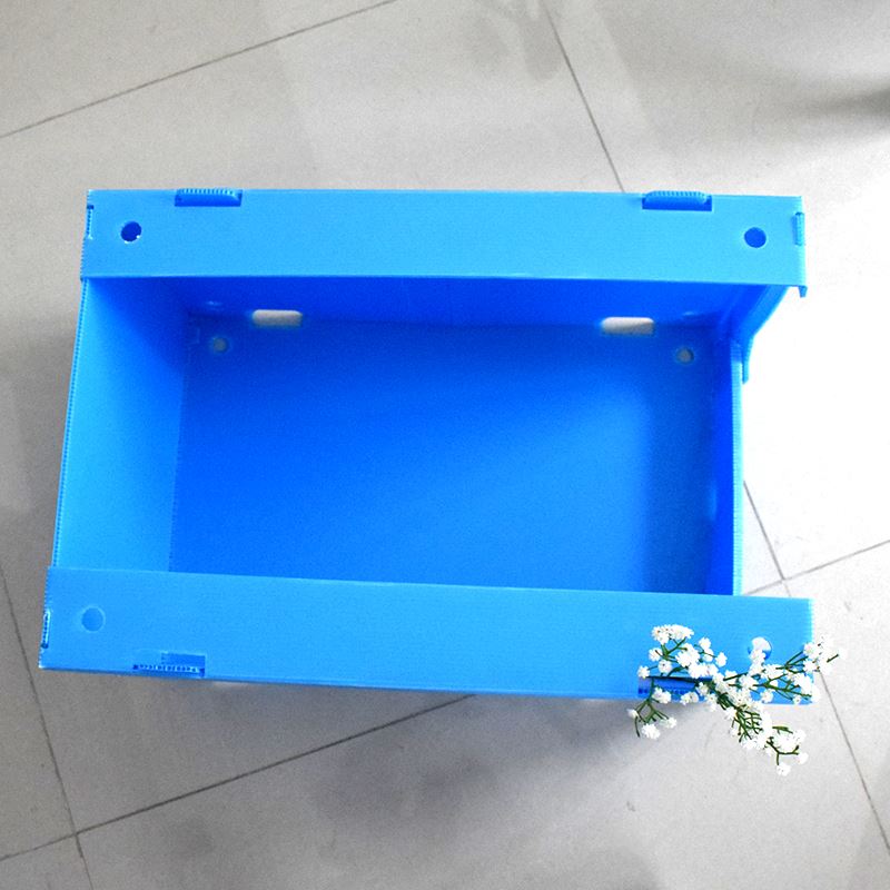 Ki jan yo fè yon bwat plastik korugatèd soti nan pp fèy papye korugè?