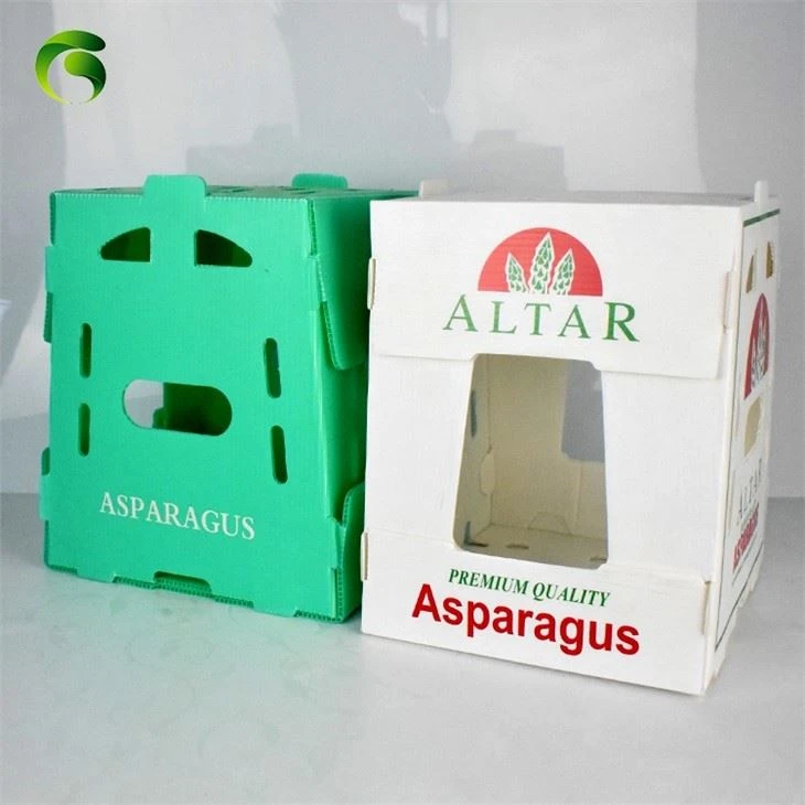 Factory OEM Corrugated Plastic Asparagus Packaging Box