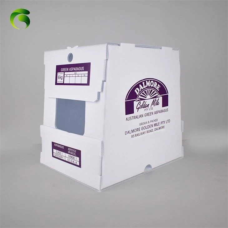Factory OEM Corrugated Plastic Asparagus Packaging Box