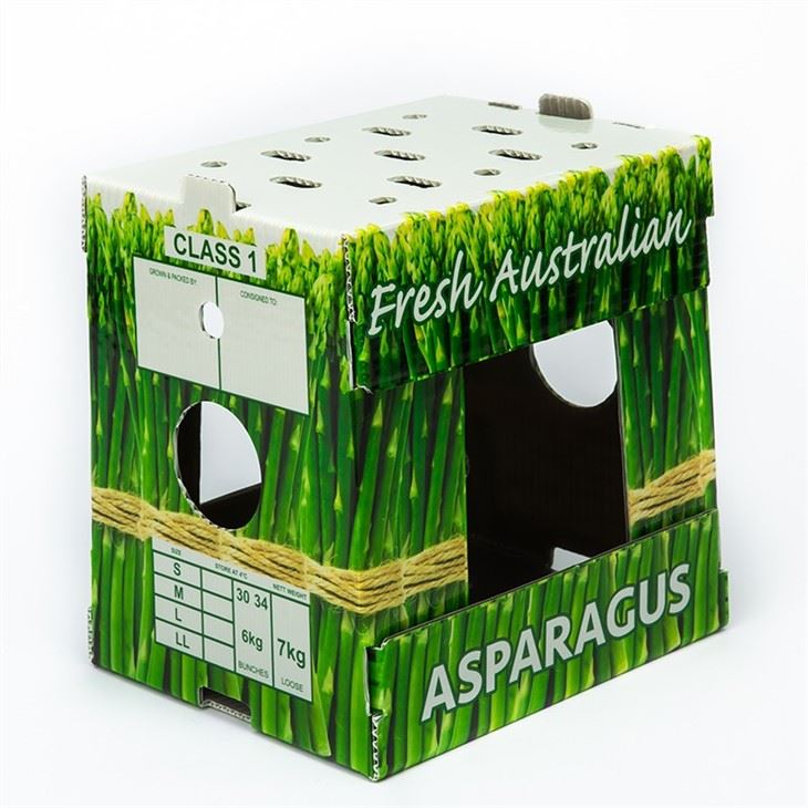 Factory OEM Corrugated Plastic Asparagus Packaging Box